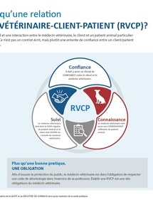 Qu'est-ce qu'une relation médecin vétérinaire-client-patient (RVCP)?