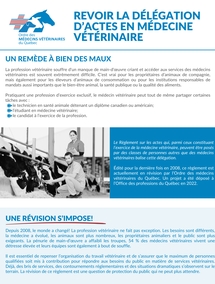 Revoir la délégation d'actes en médecine vétérinaire
