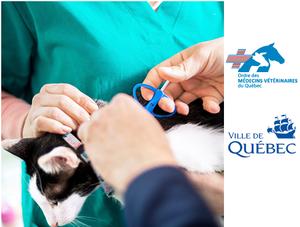 Une grande première à Québec - Journée de micropuçage gratuit dans 12 établissements vétérinaires de la ville le 28 mai