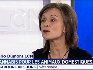 Cannabis pour les animaux domestiques...