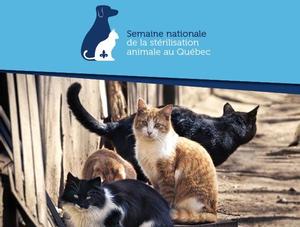 8e Semaine nationale de la stérilisation animale au Québec