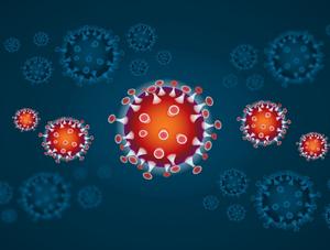 Avis Coronavirus : effets sur les services vétérinaires