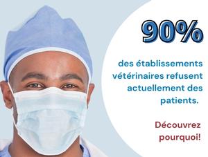 Covid-19 : 90 % des établissements vétérinaires doivent refuser des cas