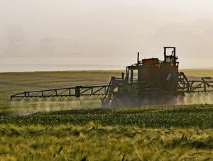 Hausse des seuils de résidus de pesticides : l’Ordre des médecins  vétérinaires du Québec s’inquiète