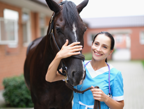 Dentisterie équine : des actes réservés aux médecins vétérinaires