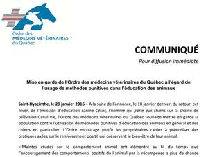 Janvier 2016 : Mise en garde de l’Ordre des médecins vétérinaires du Québec à l’égard de l’usage de méthodes punitives dans l’éducation des animaux