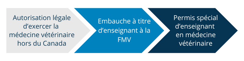 Processus permis spécial d'enseignant à la FMV